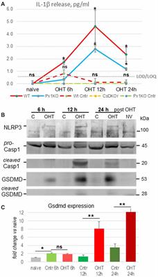 Inflammasome Activation Induces Pyroptosis in the Retina Exposed to Ocular Hypertension Injury